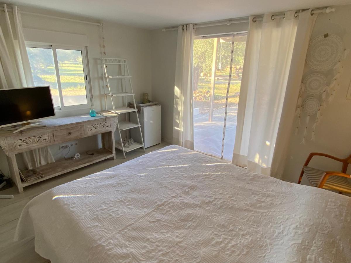 Alba Studio Lejlighed Campredo Eksteriør billede